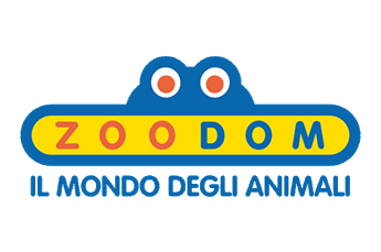 zoodom.com